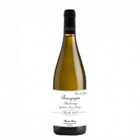Chauvet Freres - Beaujolais Blanc 2021 (750ml) (750ml)